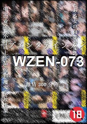 WZEN-073