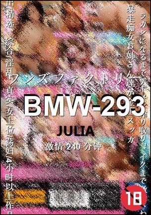 BMW-293种子