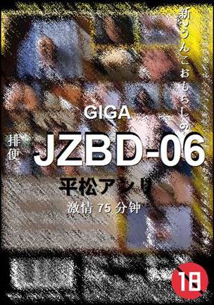 JZBD-06