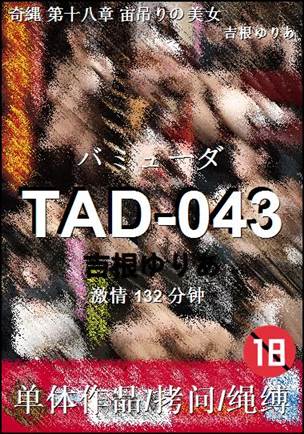 TAD-043种子