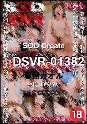 DSVR-01382种子