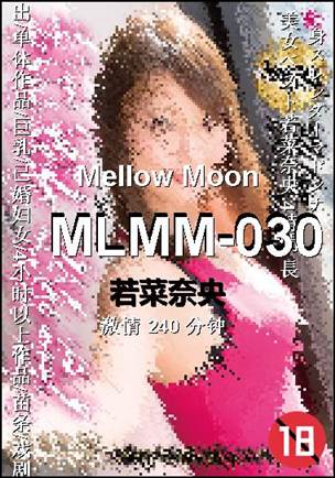 MLMM-030����