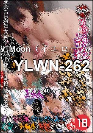 YLWN-262种子