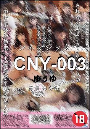 CNY-003����