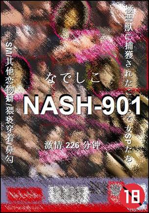 NASH-901种子