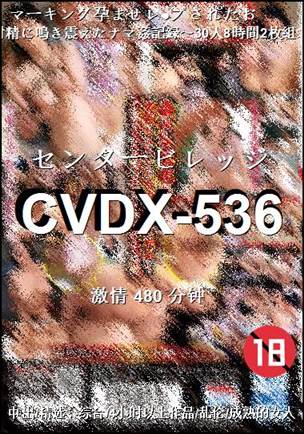 CVDX-536种子