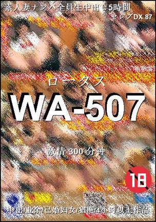 WA-507