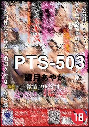 PTS-503����