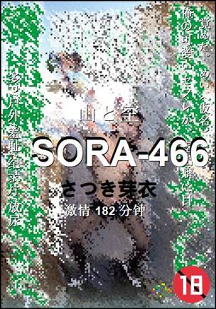 SORA-466种子