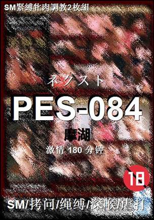 PES-084种子