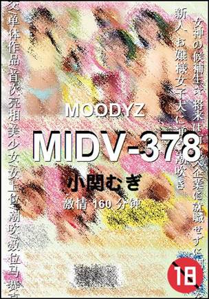 MIDV-378种子