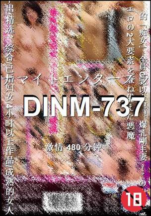 DINM-737种子