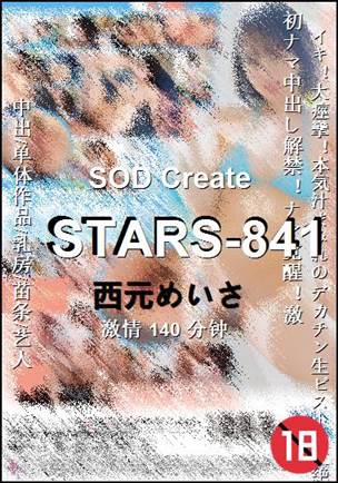 STARS-841种子