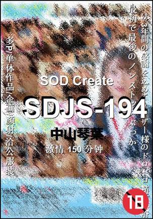 SDJS-194种子