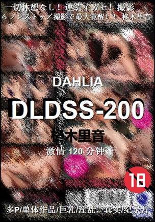 DLDSS-200����