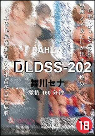 DLDSS-202