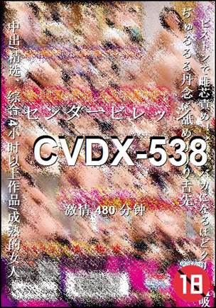 CVDX-538种子