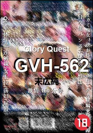 GVH-562种子