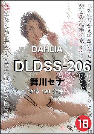 DLDSS-206