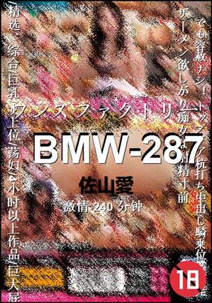 BMW-287种子