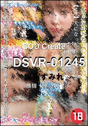 DSVR-01245����