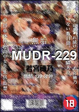 MUDR-229
