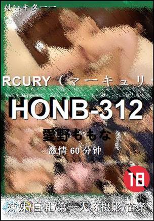 HONB-312����