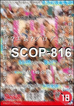 SCOP-816种子