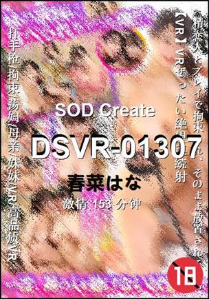 DSVR-01307种子