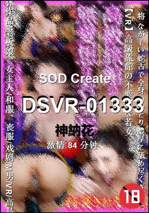 DSVR-01333