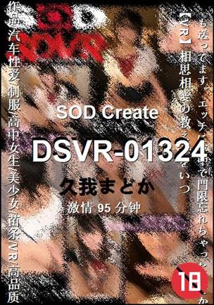 DSVR-01324