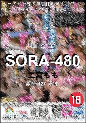 SORA-480种子
