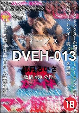 DVEH-013