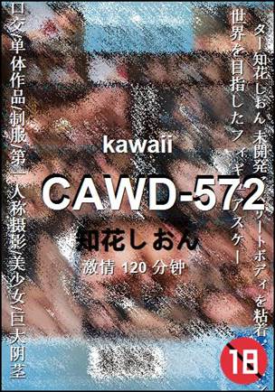 CAWD-572种子