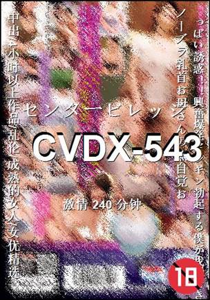 CVDX-543种子