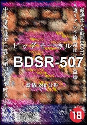 BDSR-507