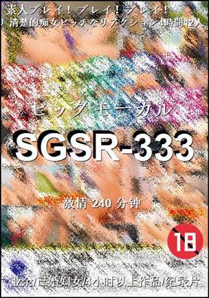 SGSR-333