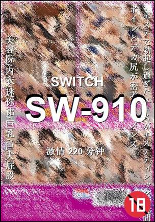SW-910����