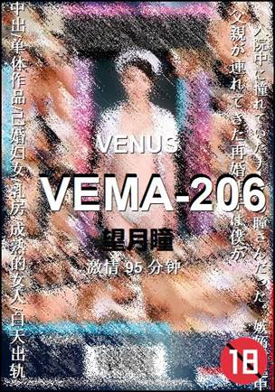 VEMA-206