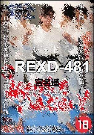 REXD-481