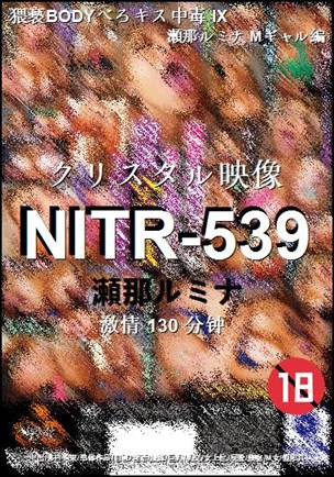 NITR-539种子