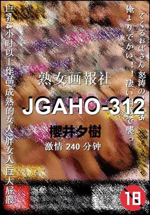 JGAHO-312