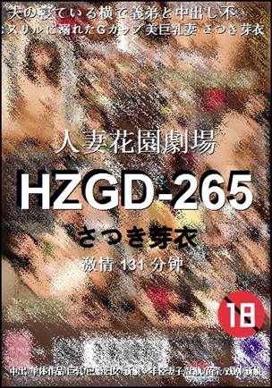 HZGD-265