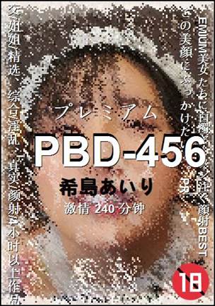 PBD-456����