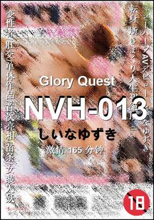 NVH-013
