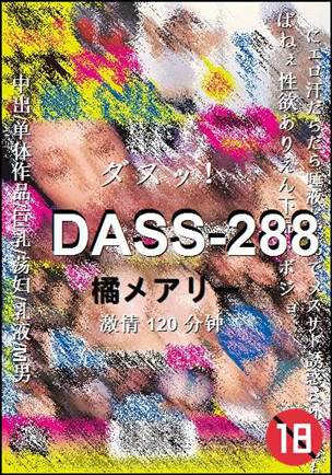 DASS-288种子