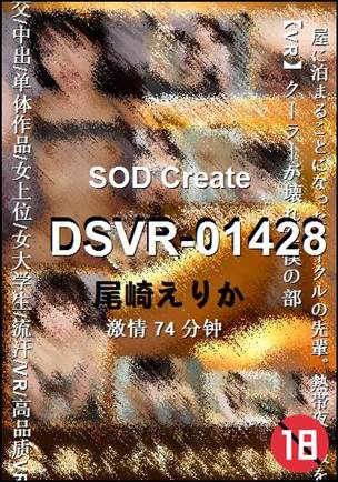 DSVR-01428种子