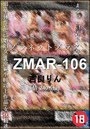 ZMAR-106����