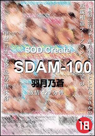 SDAM-100