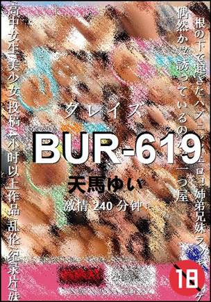 BUR-619